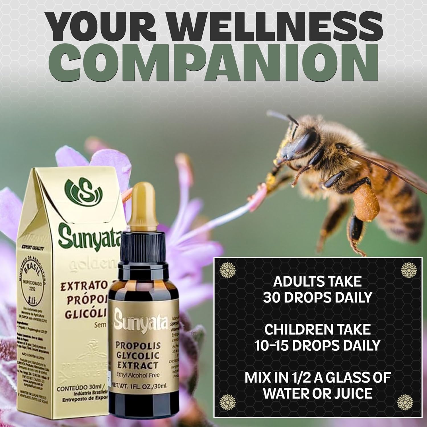 Brazilian Green Bee Propolis Liquid Extract - Sunyata No Alcohol - 30ML (1 Pack) - Pure and Potent Immune Support