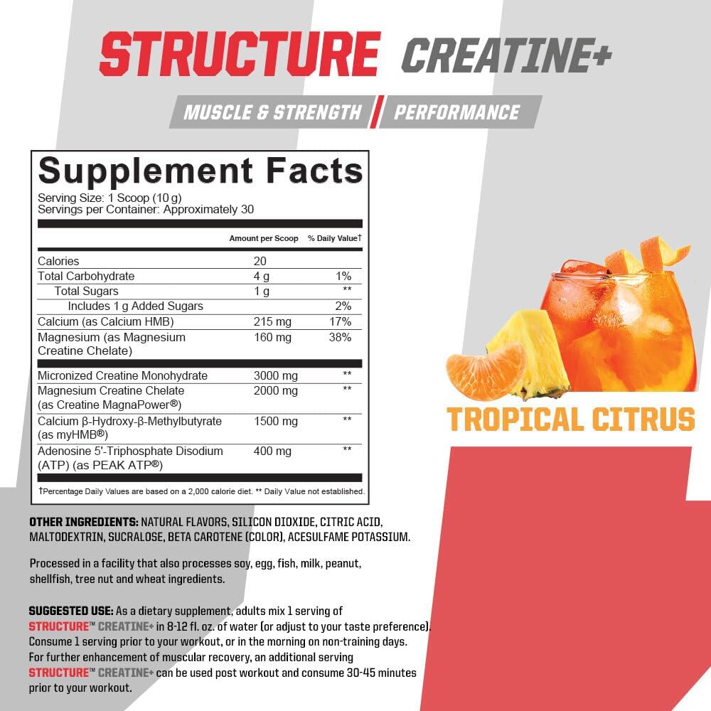 Brian Shaw's Undefined Nutrition Structure Creatine+ - Micronized Creatine Monohydrate with Magnesium Creatine Chelate, HMB & PEAK ATP for Strength, Power, Recovery - Tropical Citrus Flavor, 30 Servings
