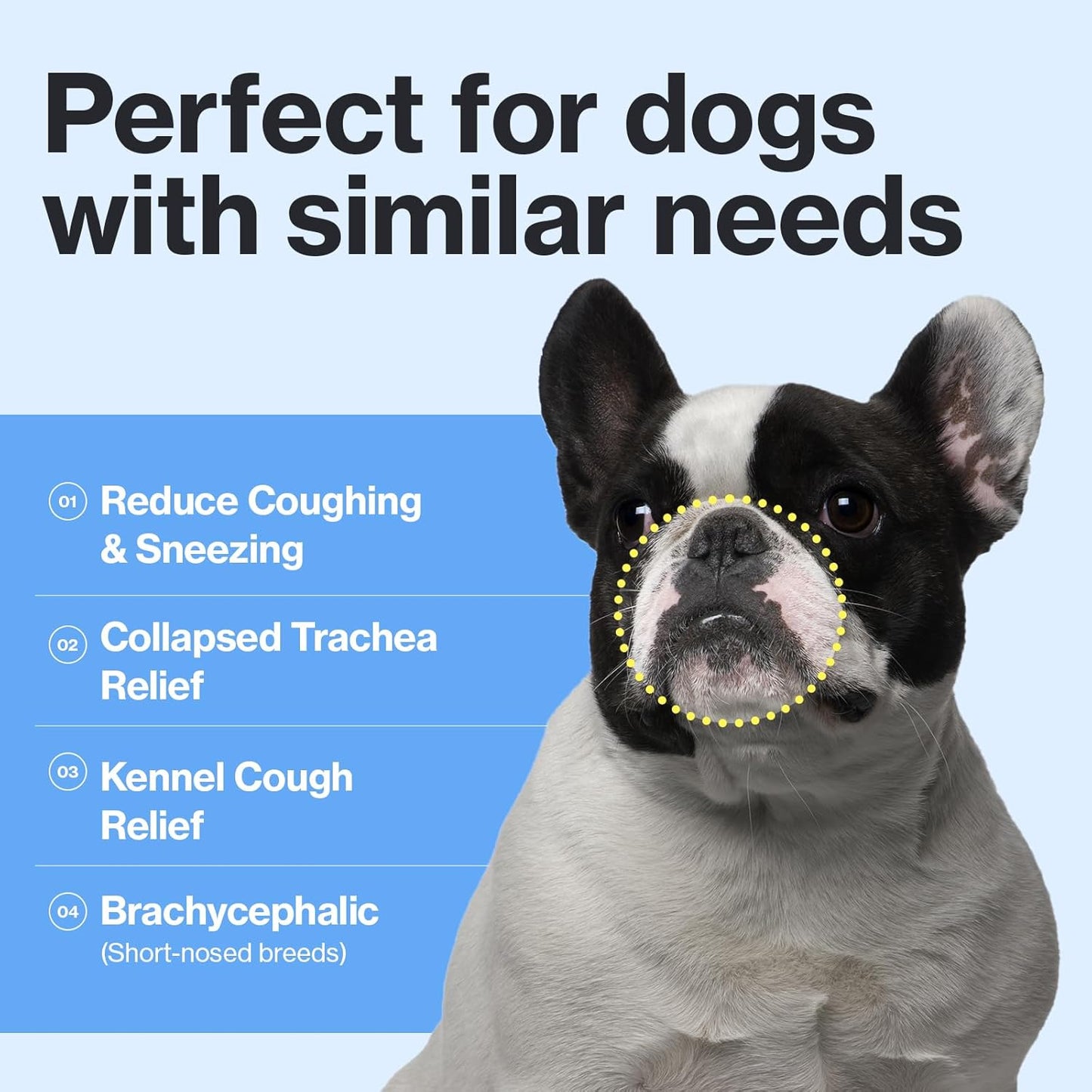 Bronchial Supplements for Dogs - Dog Cough Relief - Dry, Wet & Barkly Pet Cough - 8.5 oz