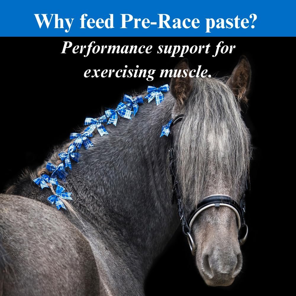 Buffered Creatine & Amino Acid Horse Pre-Race Paste - Muscle Support Supplement with Herbal Extracts & Antioxidants - 60CC, Pack of 4