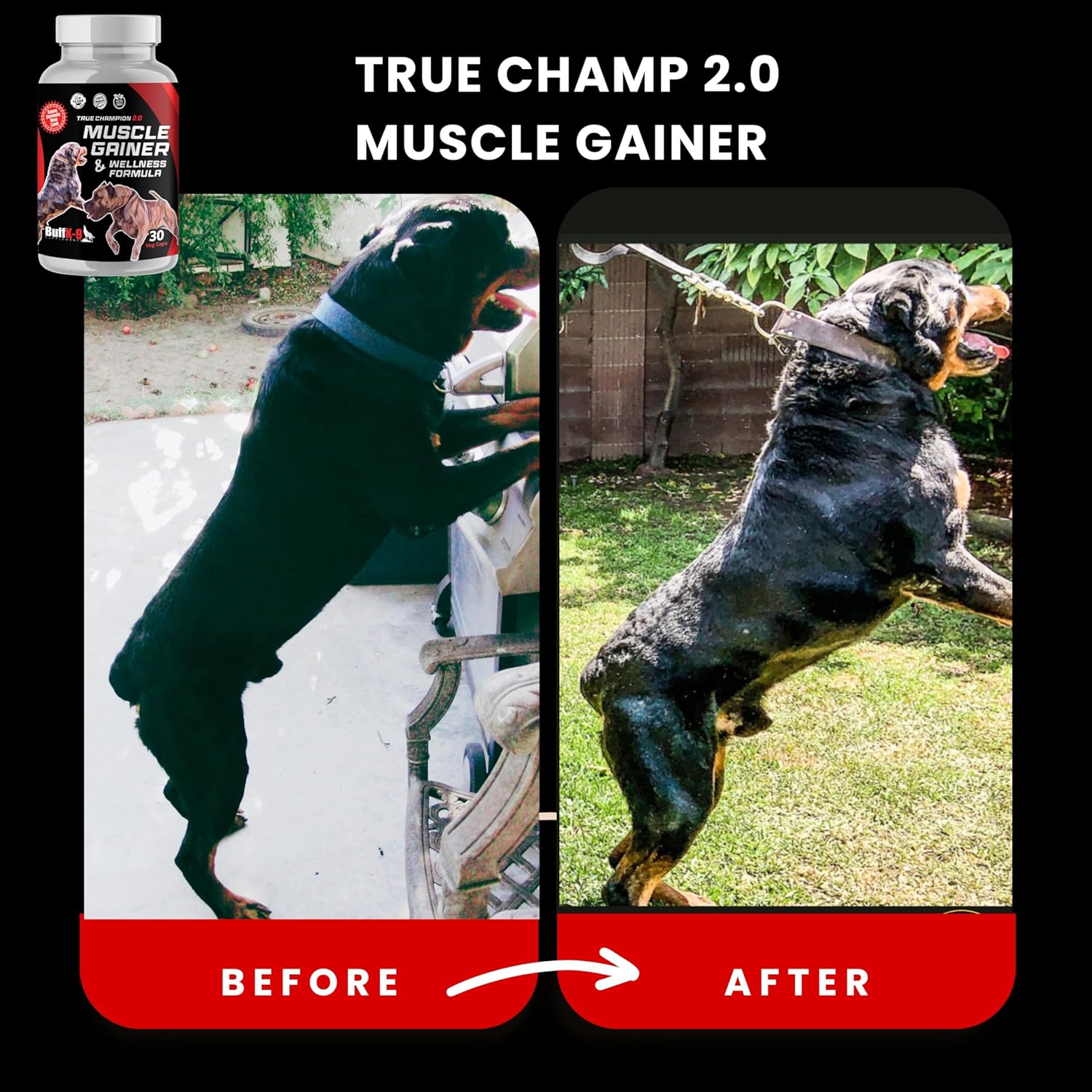 BuffK-9 True Champion Dog 2.0 - Muscle Builder for Dogs of All Ages and Breeds - Promotes Muscle Gain, Growth, and Recovery - Ideal for Aging Dogs and Post-Injury Support