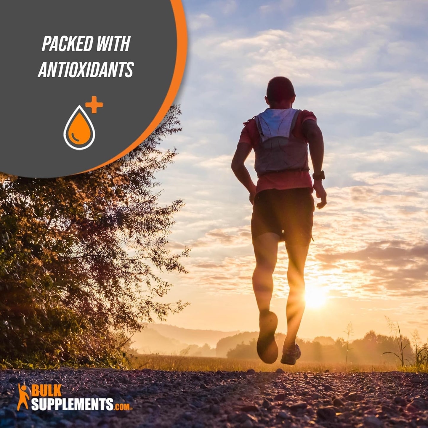 BulkSupplements.com Aloe Vera Extract Capsules - Herbal Supplement, Gluten Free, 240 Veg Capsules - 1 Capsule Serving Size