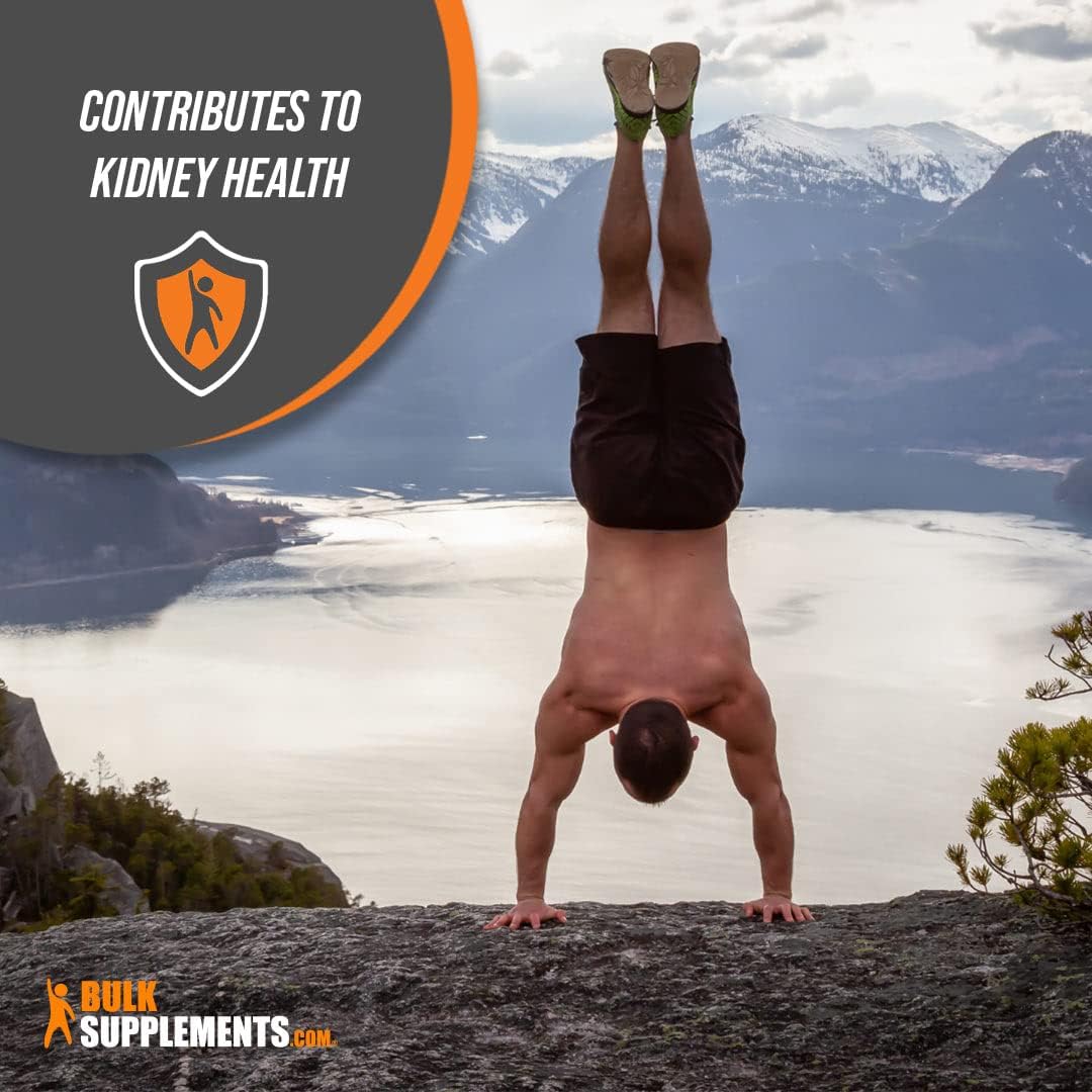 BulkSupplements.com Chitosan Powder - High Fiber Supplement - 1000mg Chitosan Supplements for Kidney Health - Shellfish Source - 5kg (11 lbs) - 5000 Servings