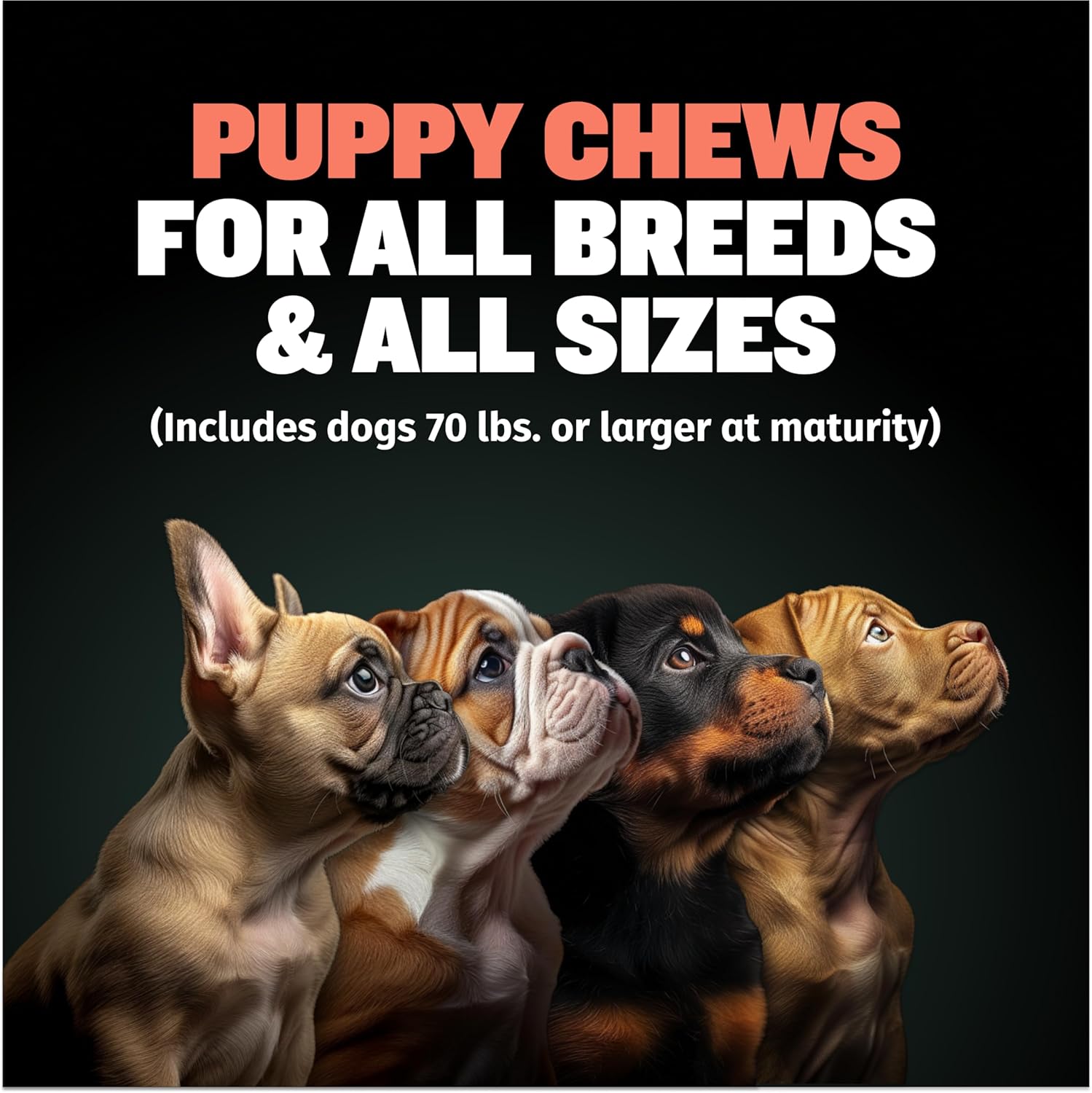 Bully Max Puppy Soft Chews: Immunity & Growth Supplements for All Breeds - Essential Dog Multivitamin for Health & Immune Support