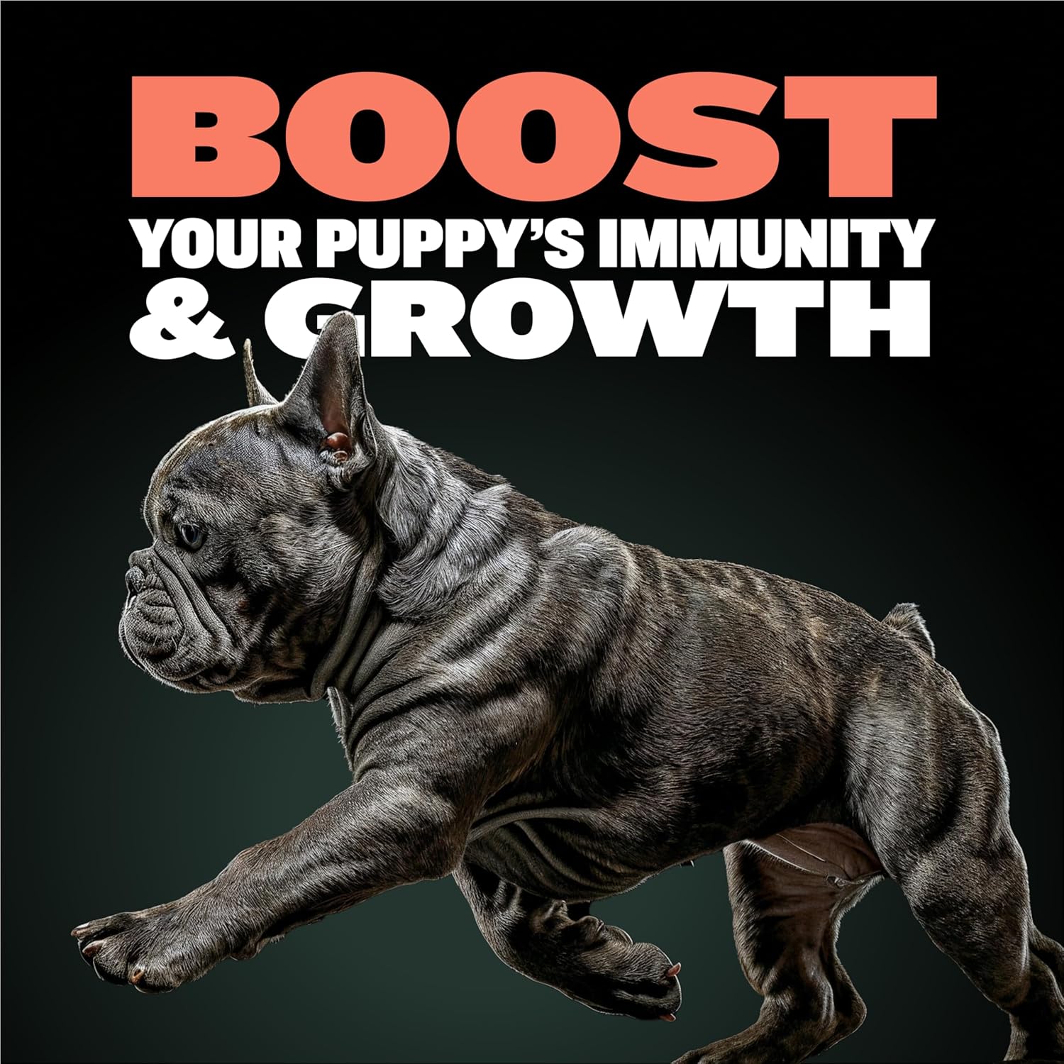 Bully Max Puppy Soft Chews: Immunity & Growth Supplements for All Breeds - Essential Dog Multivitamin for Health & Immune Support