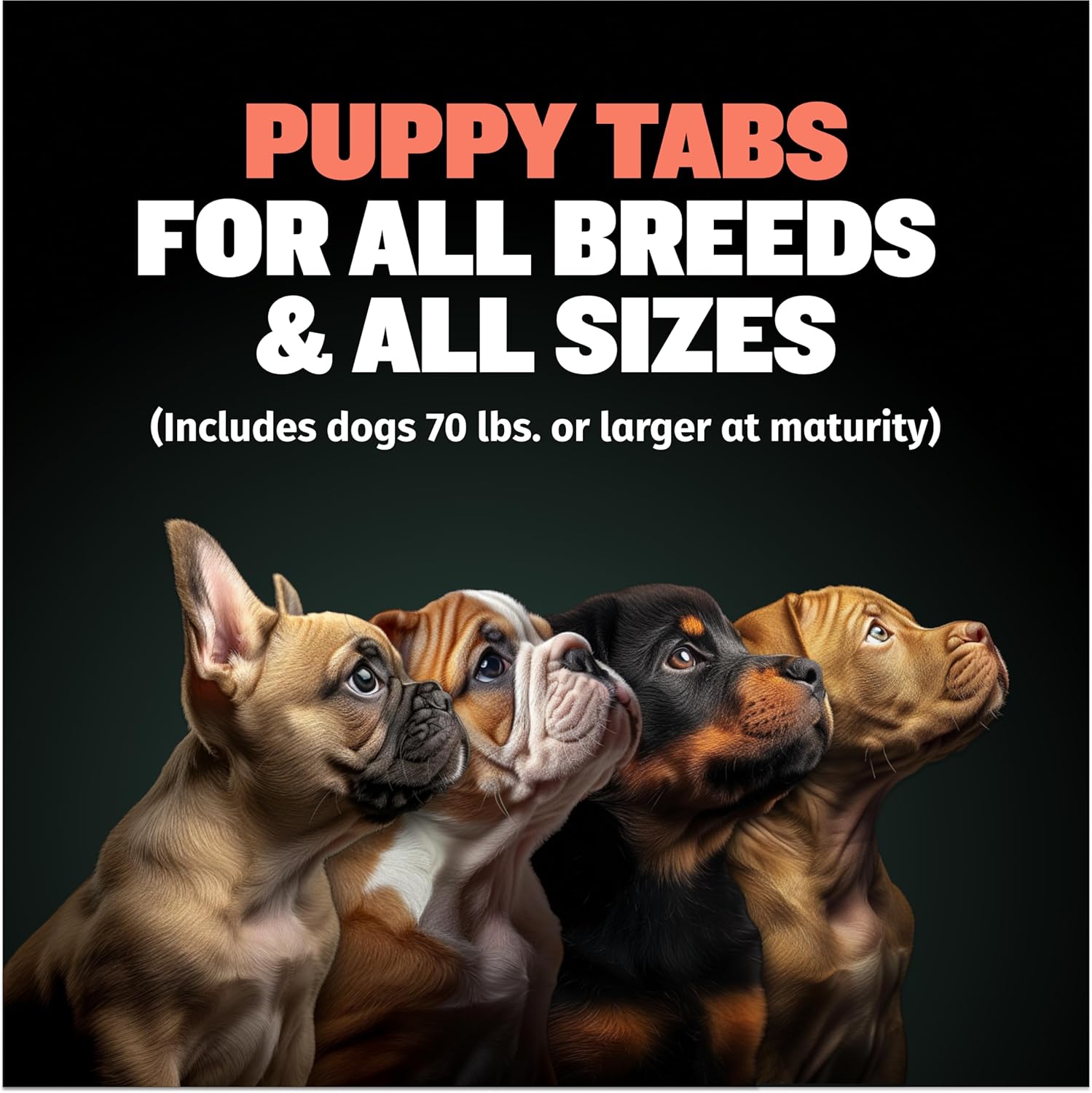 Bully Max Puppy Vitamins - 2-in-1 Chewable Tablets for Puppies - Growth & Development Supplements for Small & Large Breed Dogs - 30 Count