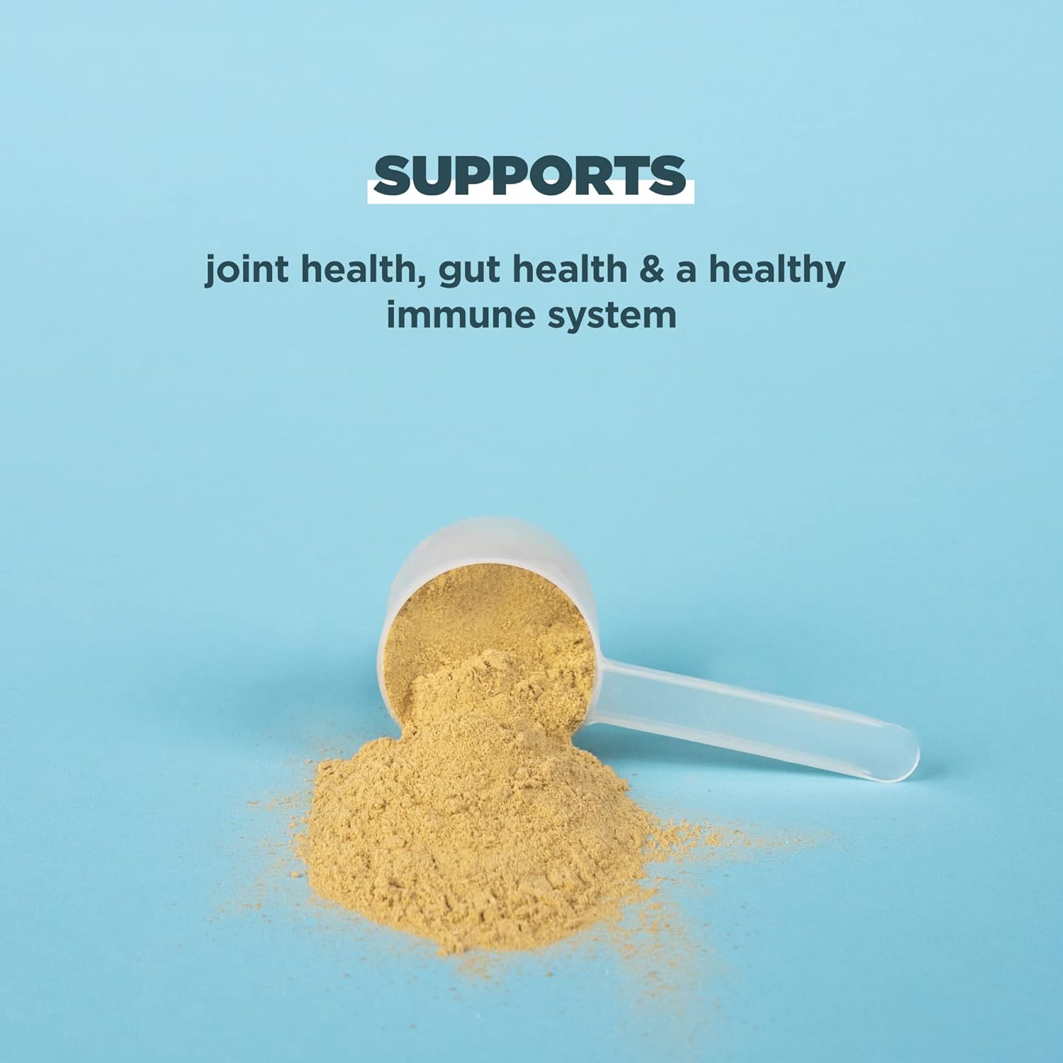 Bundle: Ancient Nutrition Bone Broth Protein Powder - Vanilla & Chocolate, 20 Servings Each