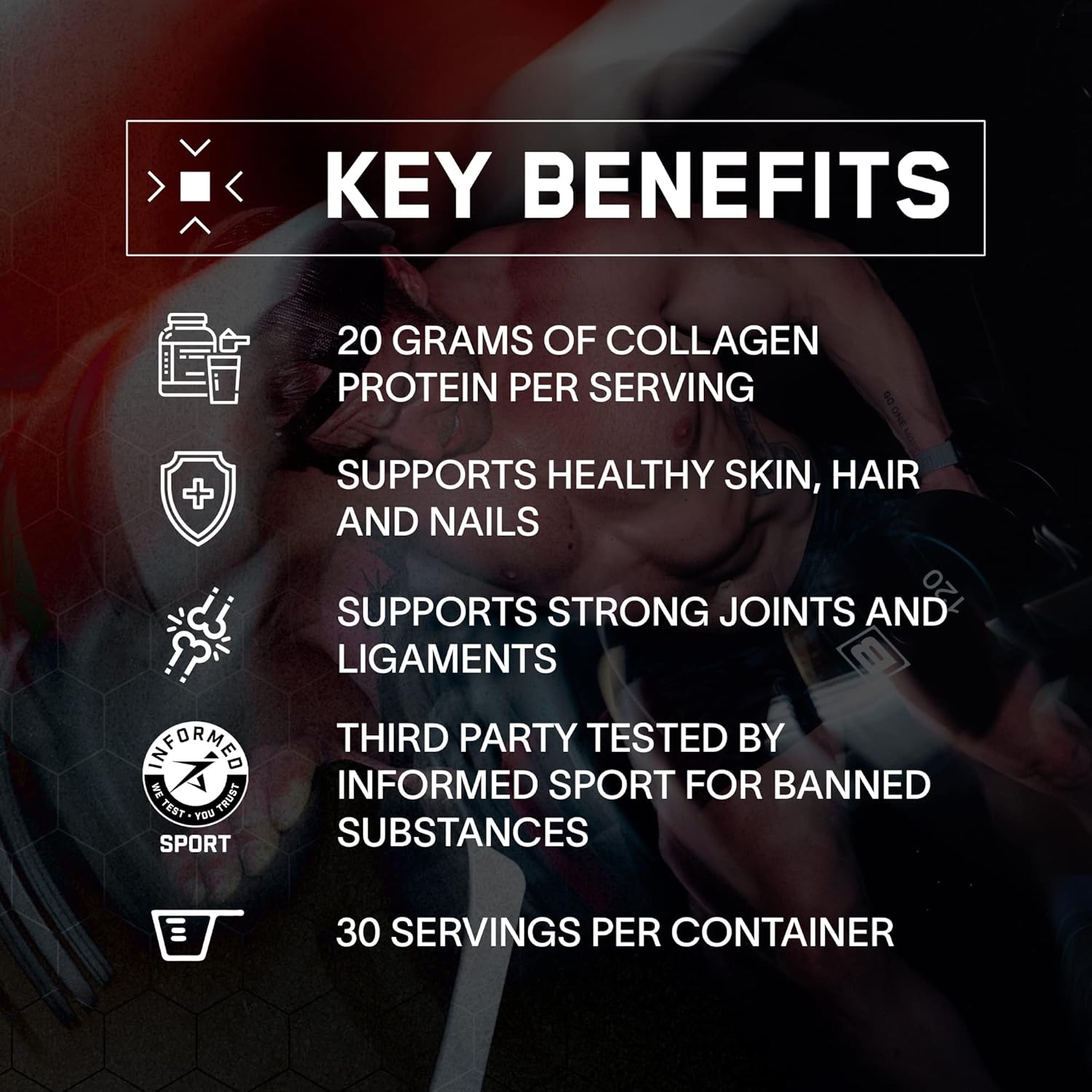 Bundle: BARE PERFORMANCE NUTRITION BPN Recover & Collagen Protein - Best Recovery and Protein Combo
