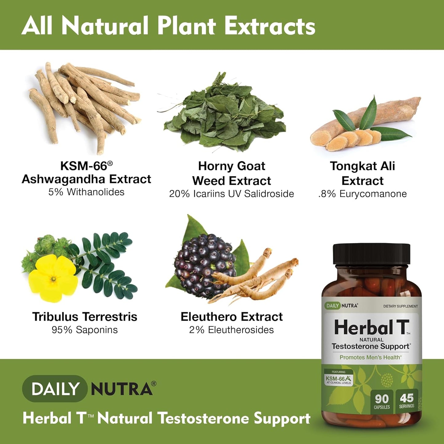 Bundle for Vitality & Energy: DailyNutra KSM 66 Ashwagandha, Bull Blend Complex, and Herbal T Formula (90 Capsules each)