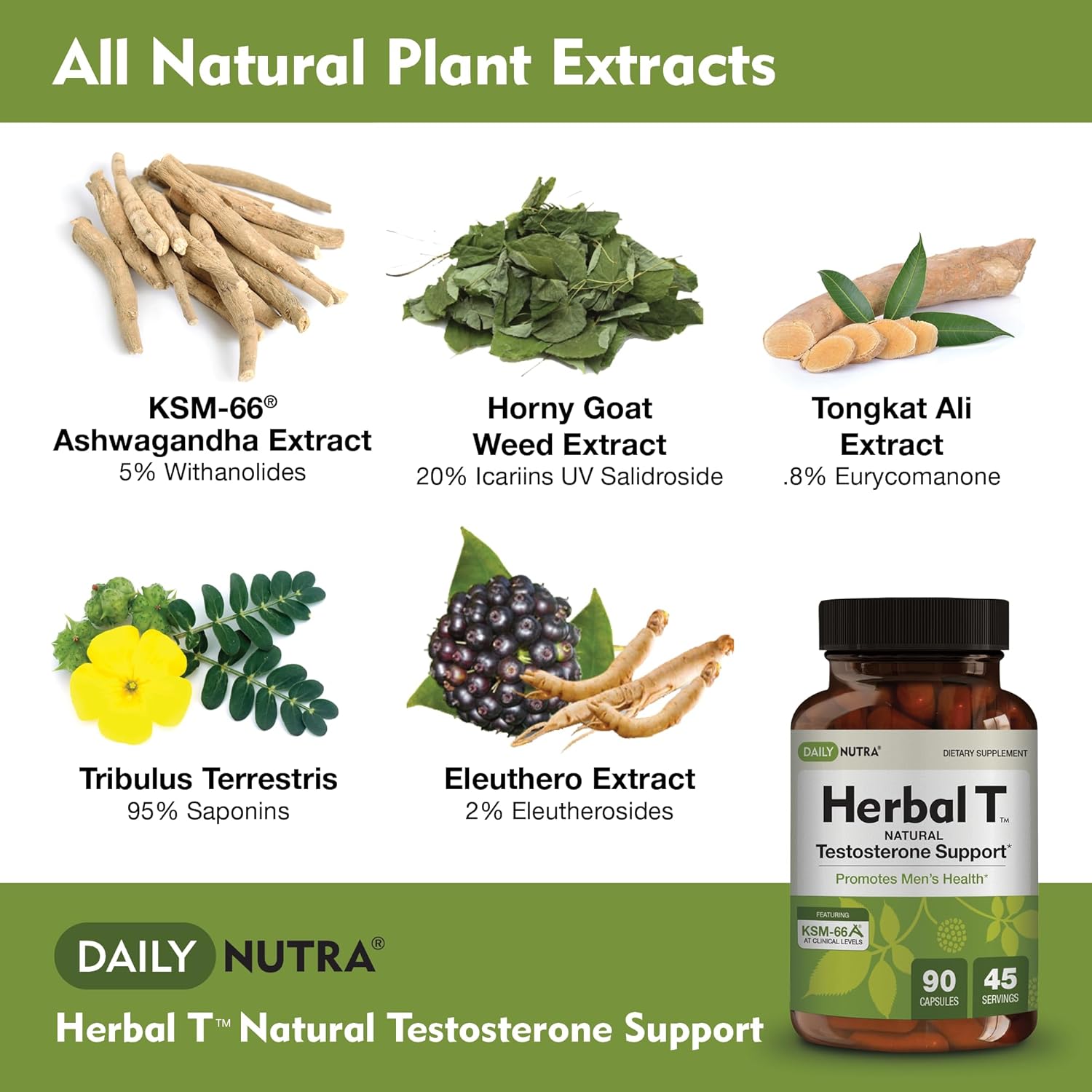 Bundle for Vitality & Energy: DailyNutra KSM 66 Ashwagandha, Bull Blend Complex, and Herbal T Formula (90 Capsules each)