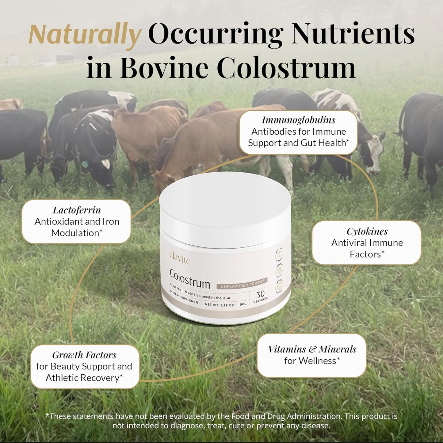 Bundle: Grass Fed Bovine Colostrum Powder for Healthy Hair, Skin & Nails (30 Servings) - Chocolate & Unflavored - Made in USA