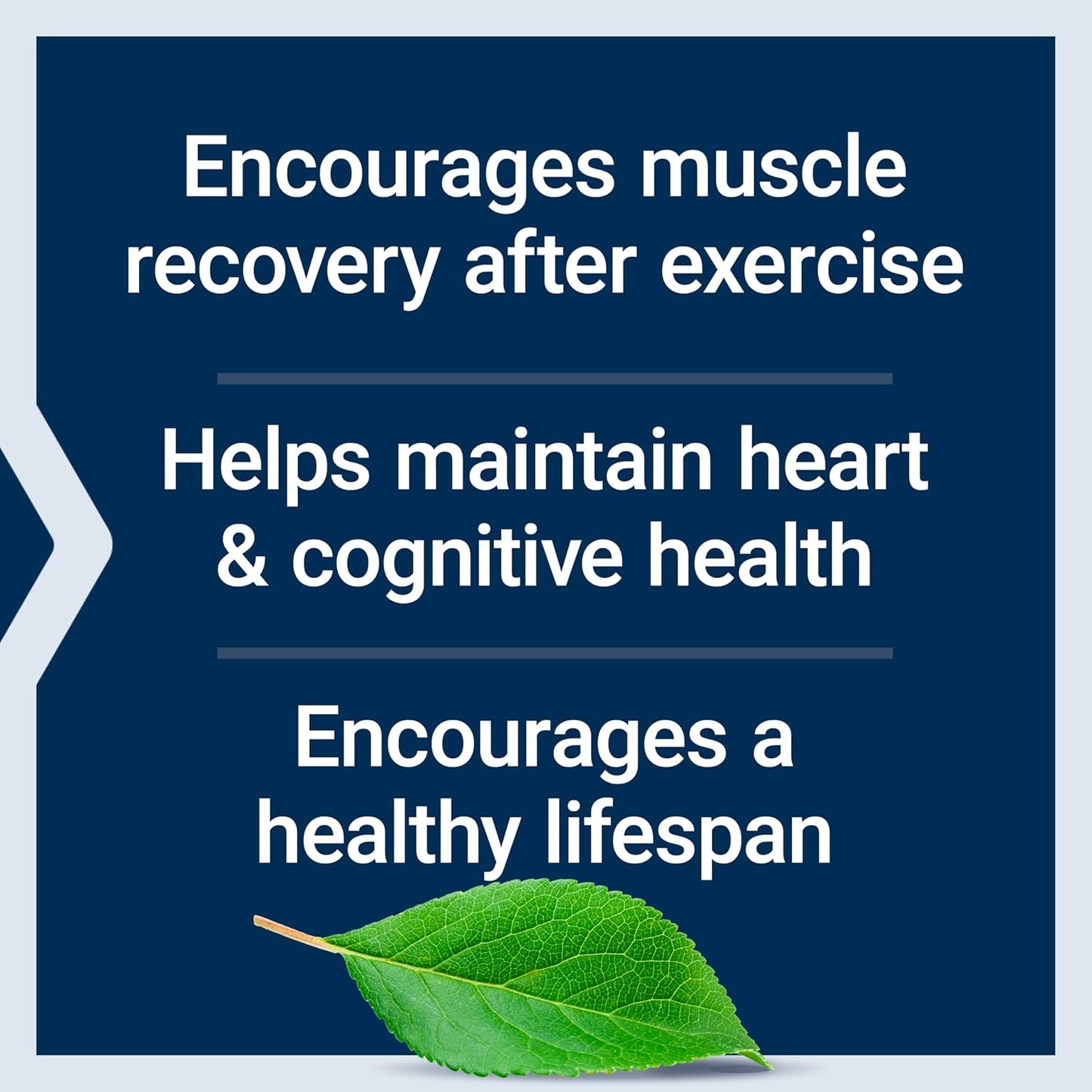 Bundle: Life Extension Bio-Quercetin 30 Capsules + Taurine 1000mg 90 Capsules