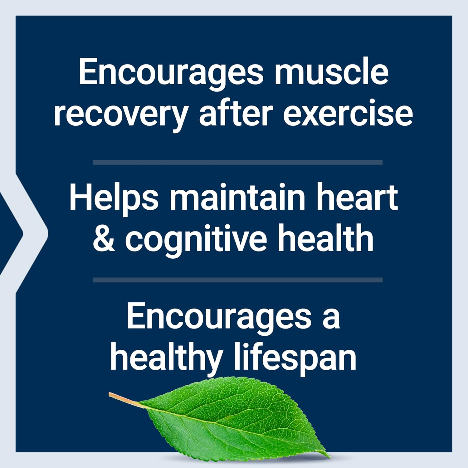 Bundle: Life Extension Bio-Quercetin 30 Capsules + Taurine 1000mg 90 Capsules