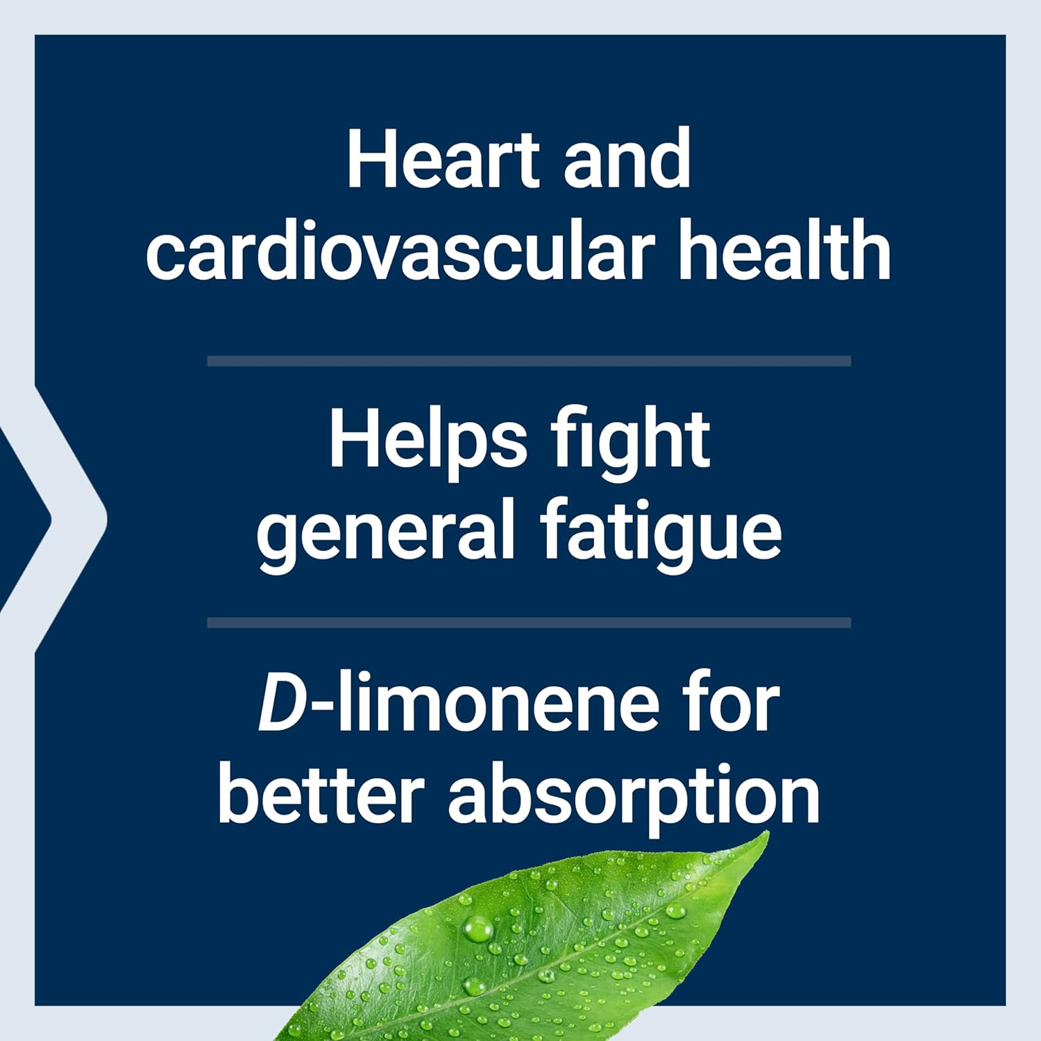 Bundle: Life Extension Super Omega-3 Fish Oil Softgels with Super-Absorbable CoQ10 for Heart Health - 240 + 60 Softgels