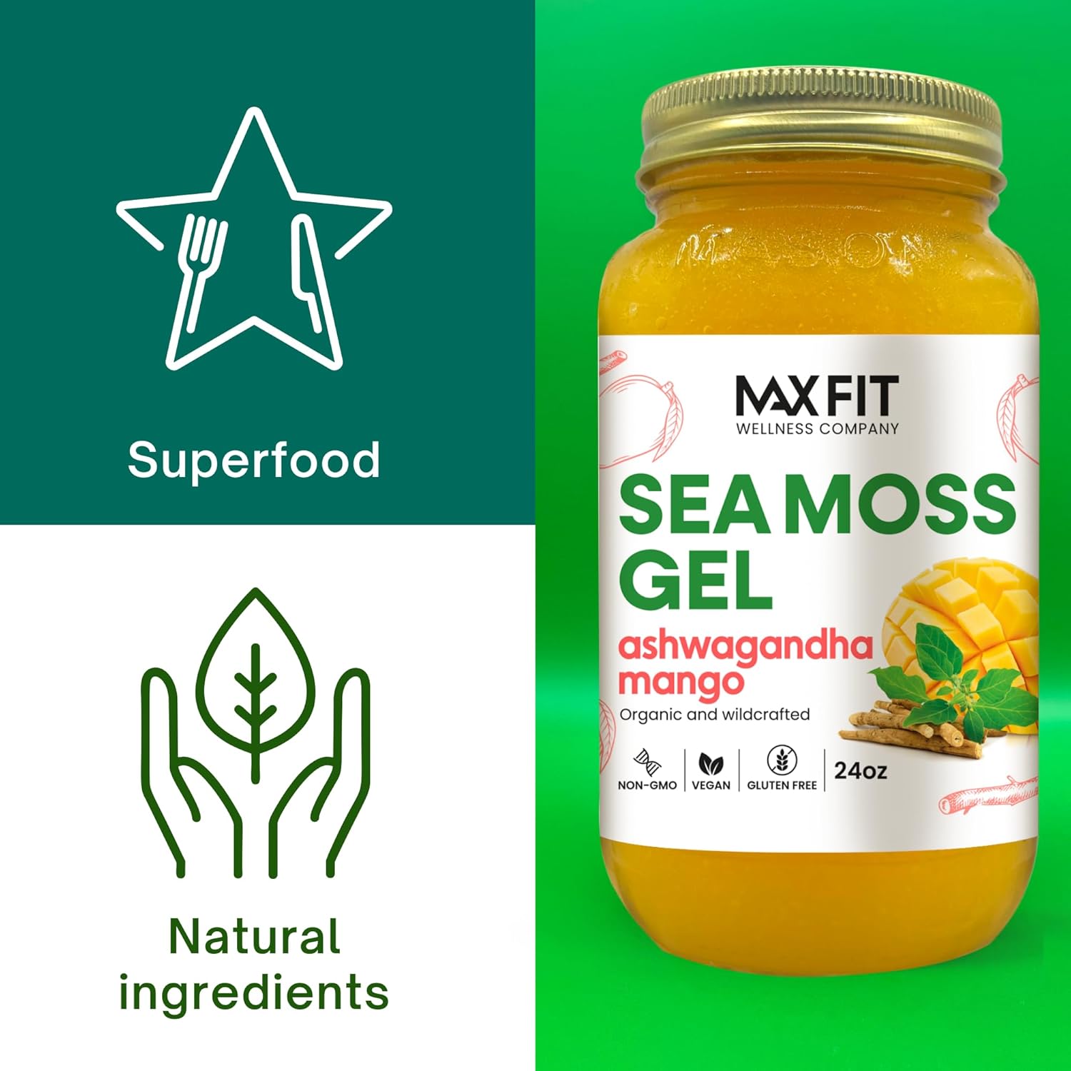 Bundle of 2 Jars 24oz MAX FIT Organic Raw Sea Moss Gel with Ashwagandha Mango, Strawberry Pineapple - 92 Vitamins and Minerals - Vegan Superfood