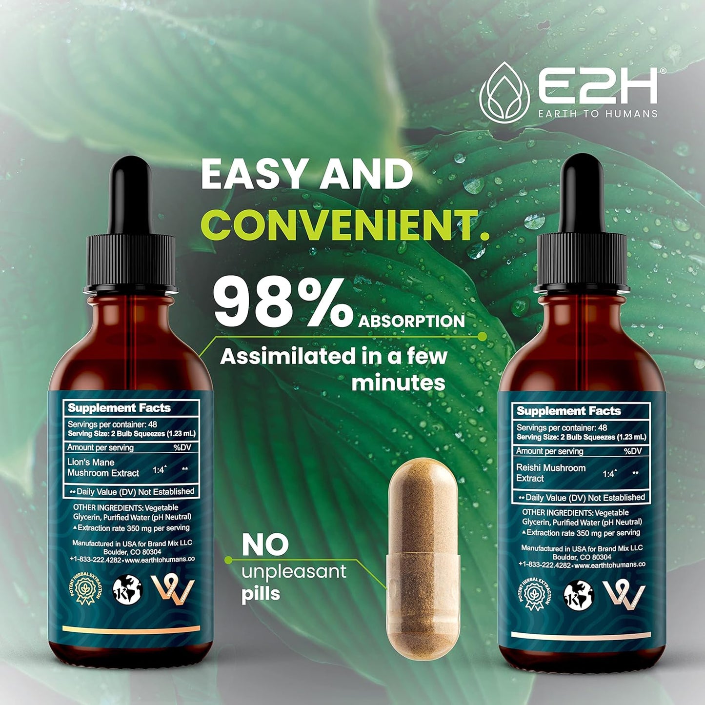 Bundle of E2H Earth to Humans Reishi & Lion's Mane Extracts for Energy, Longevity, Cognitive Sharpness, and Immunity - Non-GMO, Vegan - 2 Fl Oz Each (6 Fl Oz Total)