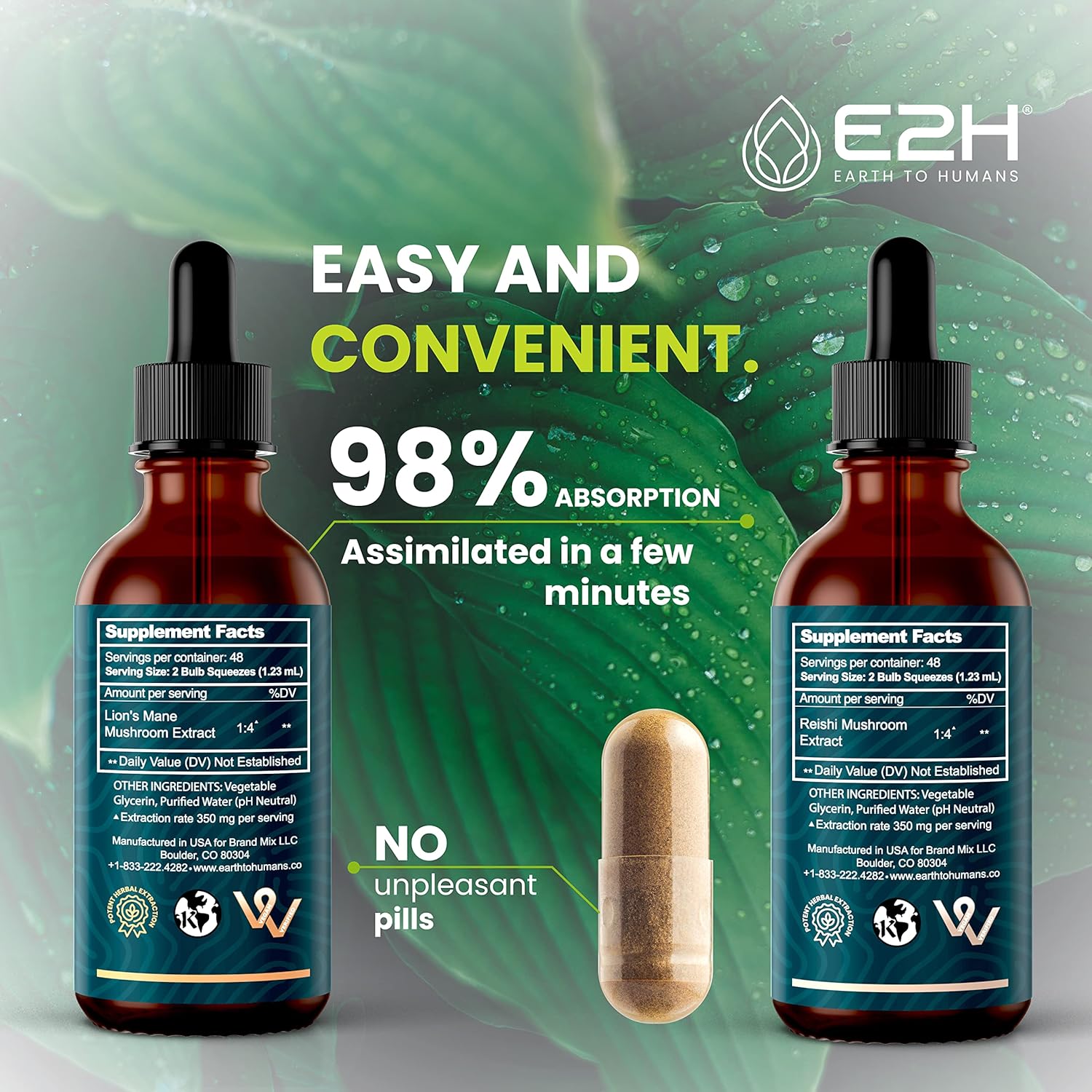 Bundle of E2H Earth to Humans Reishi & Lion's Mane Extracts for Energy, Longevity, Cognitive Sharpness, and Immunity - Non-GMO, Vegan - 2 Fl Oz Each (6 Fl Oz Total)