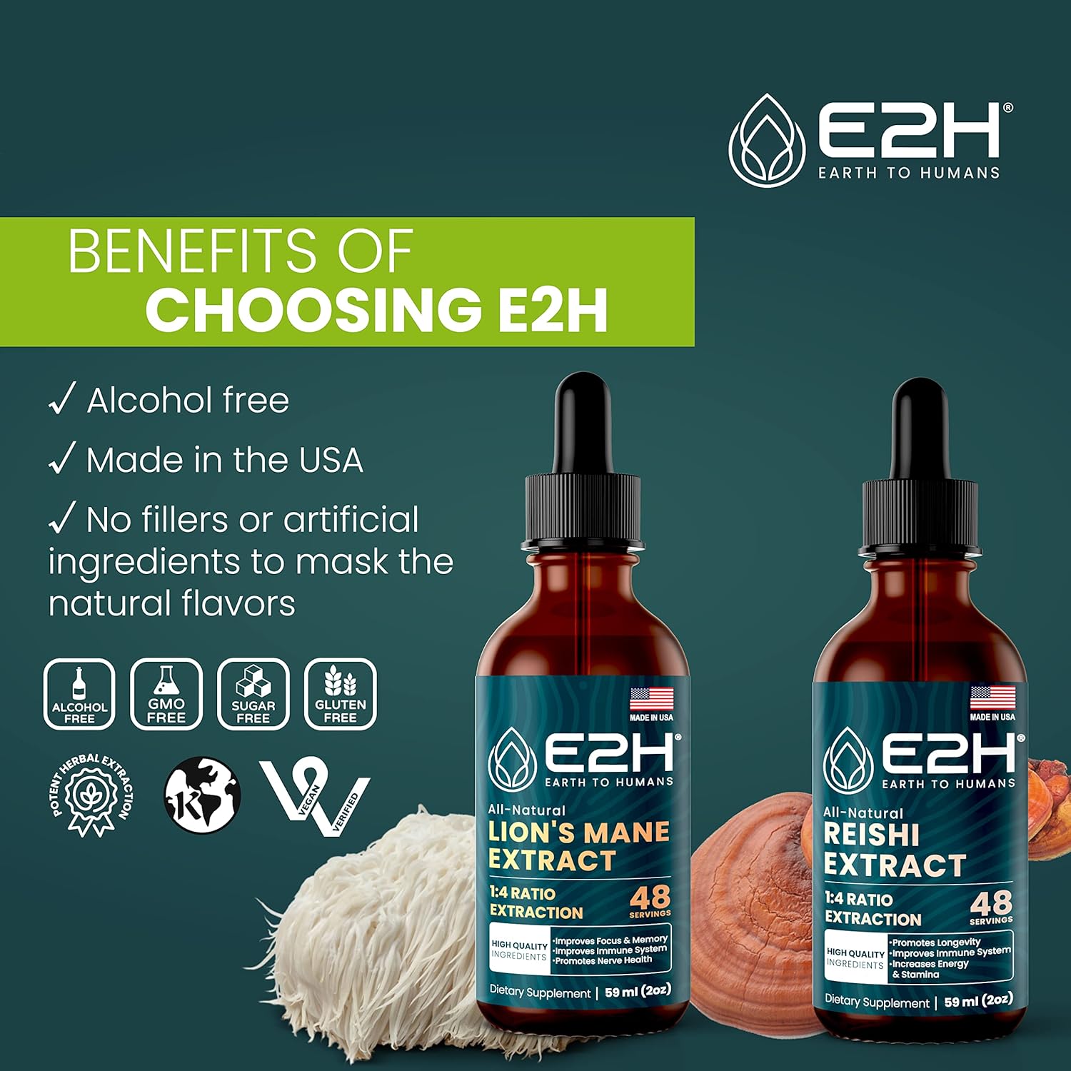 Bundle of E2H Earth to Humans Reishi & Lion's Mane Extracts for Energy, Longevity, Cognitive Sharpness, and Immunity - Non-GMO, Vegan - 2 Fl Oz Each (6 Fl Oz Total)