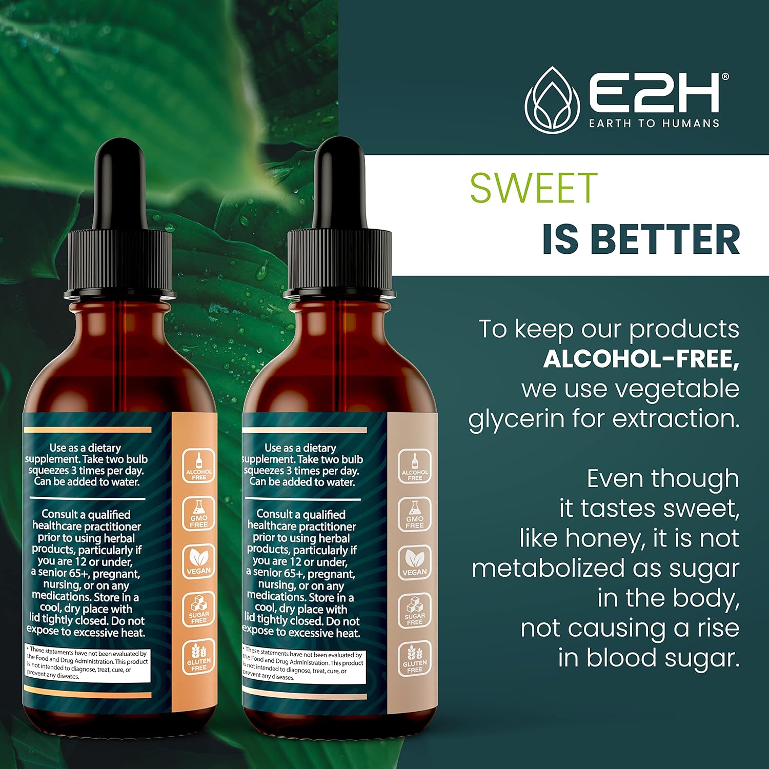 Bundle of E2H Earth to Humans Reishi & Lion's Mane Extracts for Energy, Longevity, Cognitive Sharpness, and Immunity - Non-GMO, Vegan - 2 Fl Oz Each (6 Fl Oz Total)