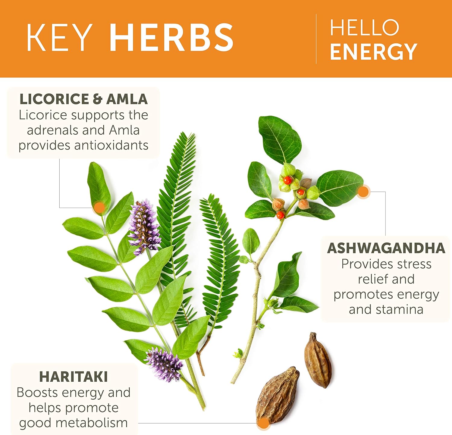 Bundle of Himalaya Hello Energy with Ashwagandha and Ashwagandha +Immune for Adrenal and Immune Support - 60 Capsules Each