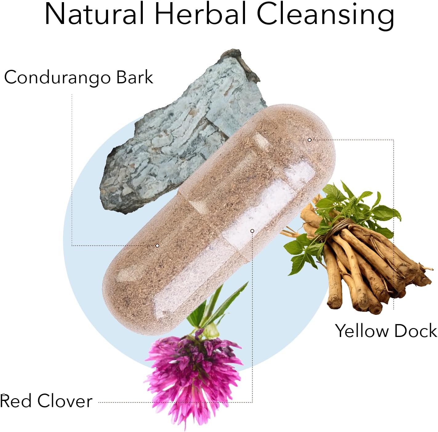 Bundle of Kroeger Herb Products Candida #1 and Turmeric for Wellness