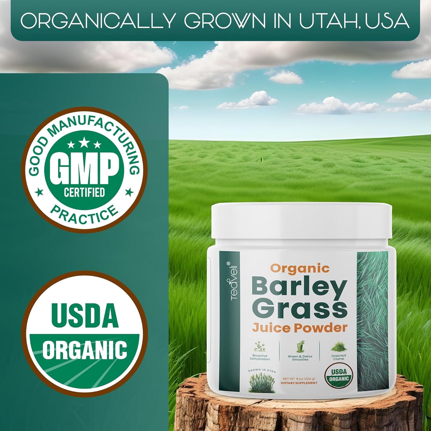 Bundle of Teaveli Spirulina and Chlorella Capsules with Organic Barley Grass Juice Powder