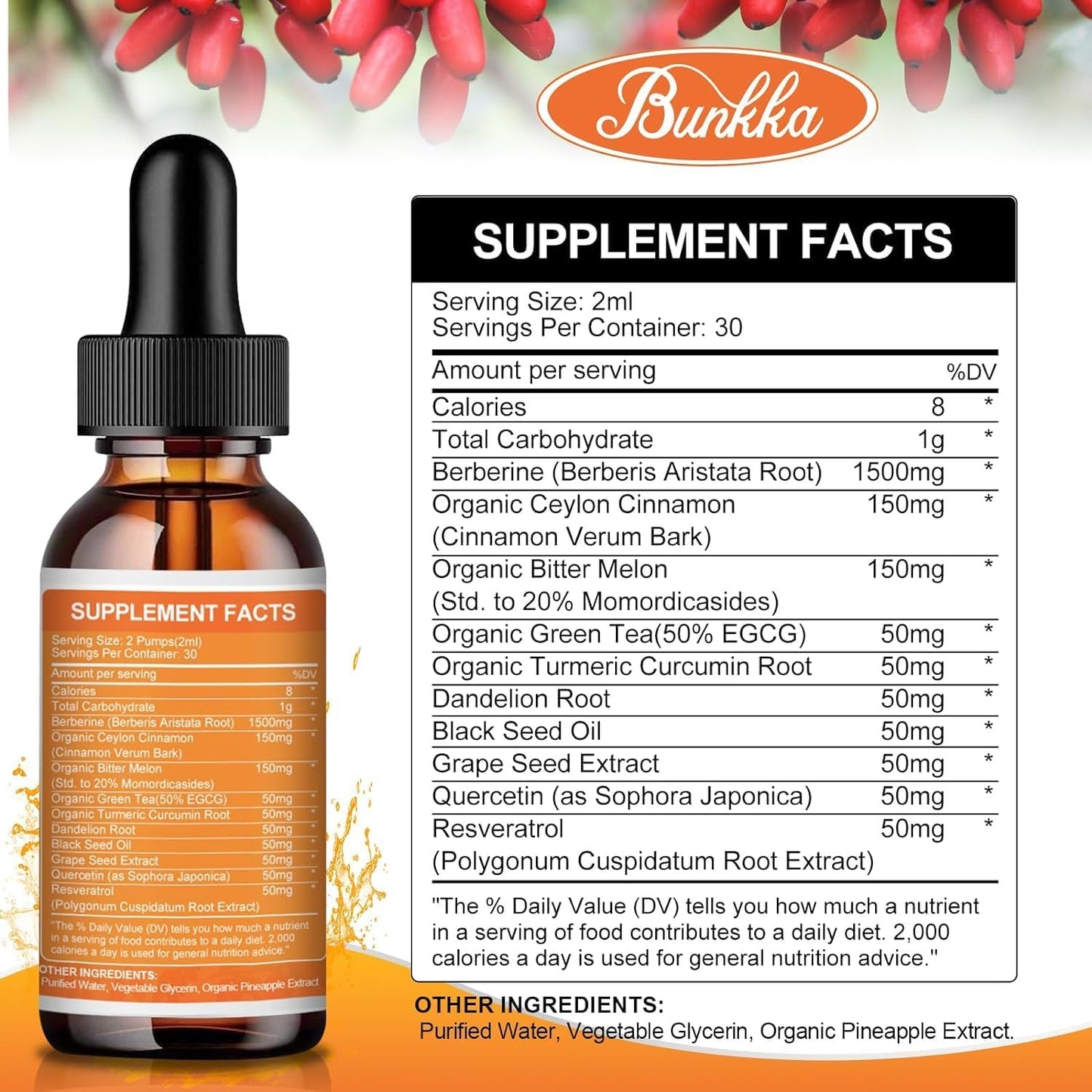 Bunkka Berberine Liquid Drops (2 Pack) with Ceylon Cinnamon & Bitter Melon - Immune & Digestive Support Supplement - 4 FL Oz