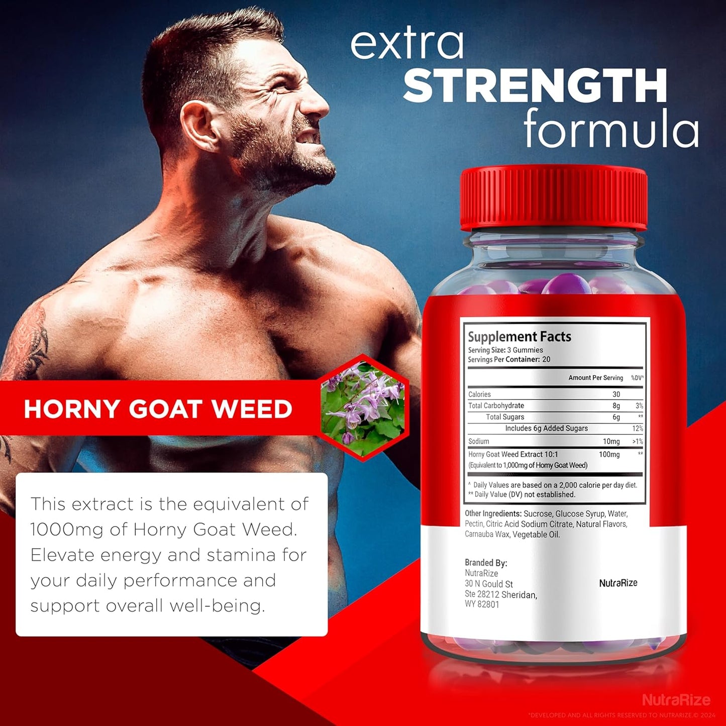 Buy NutraRize Ultra Male Gummies - Pack of 2, 1000 MG Vitamin Gummies for Daily Performance and Health Boost - Official Reviews - 120 Gummies