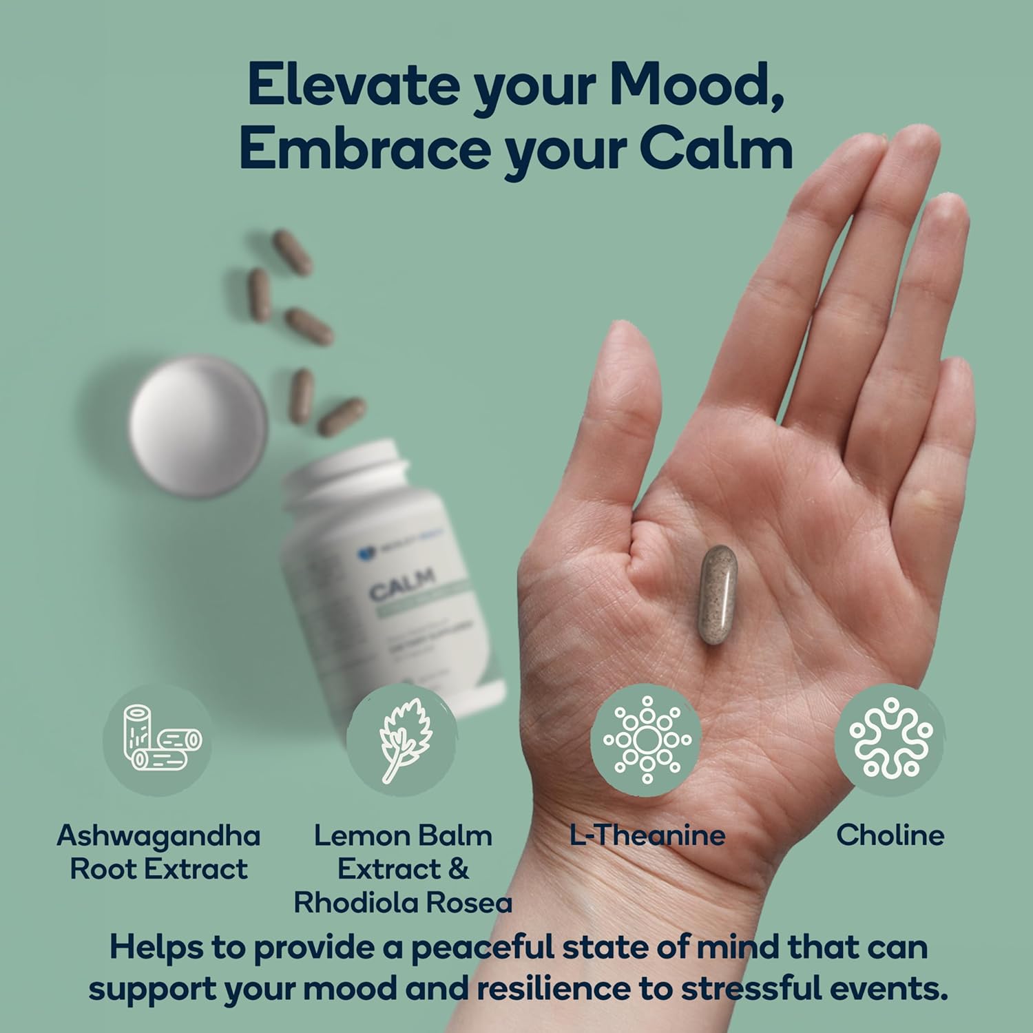 Calm Stress Relief & Mood Support Supplement - Natural Blend with Ashwagandha, Lemon Balm, L-Theanine - 60 Vegan Capsules