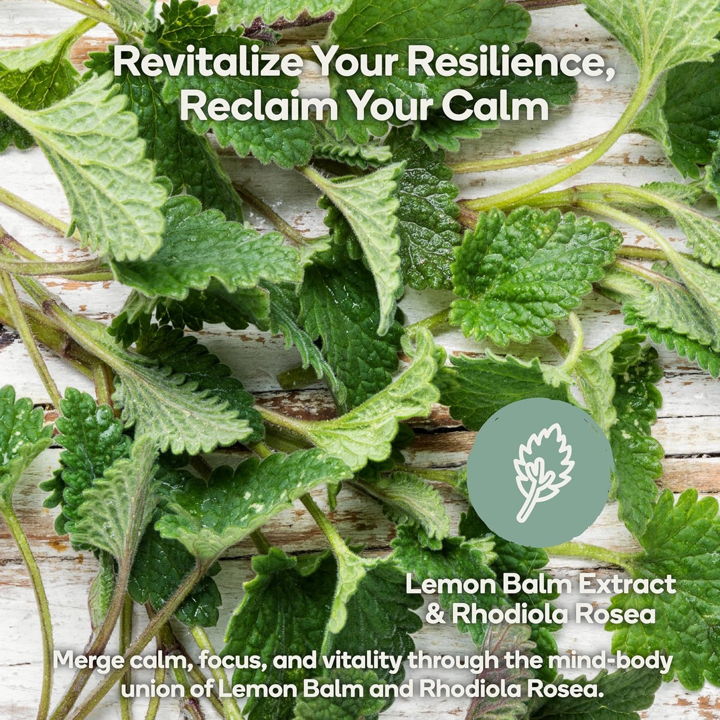 Calm Stress Relief & Mood Support Supplement - Natural Blend with Ashwagandha, Lemon Balm, L-Theanine - 60 Vegan Capsules