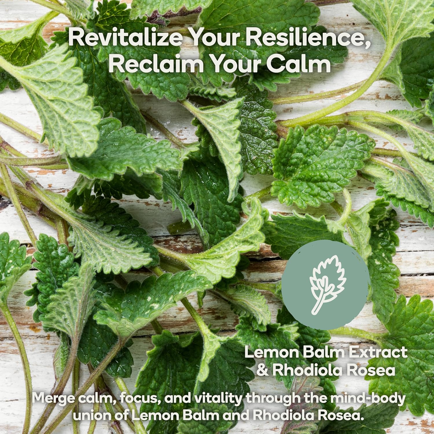 Calm Stress Relief & Mood Support Supplement - Natural Blend with Ashwagandha, Lemon Balm, L-Theanine - 60 Vegan Capsules