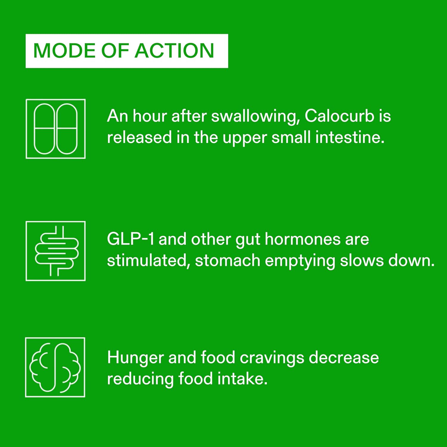 Calocurb Natural GLP-1 Activator Supplement - 90 Count, Plant Based, Patented Formula for Appetite Control & Cravings, 1-Month Supply