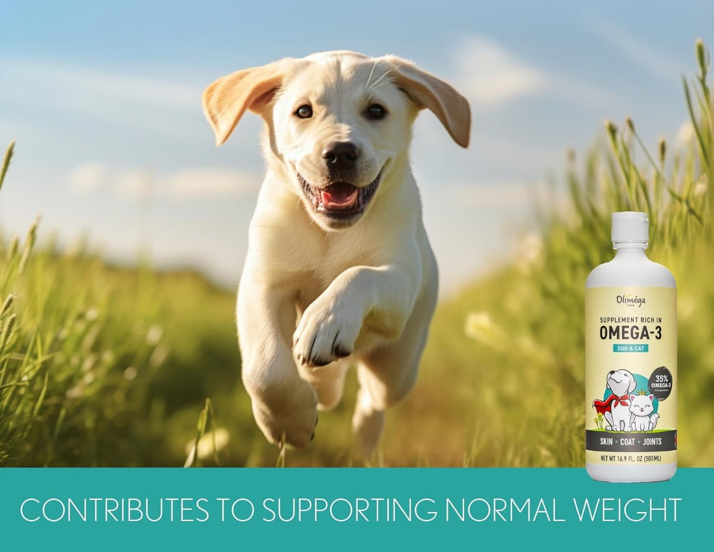 Camelina Oil for Dogs & Cats, 500mL - High in Omega-3 & Vitamin E - Supports Healthy Joints, Coat & Skin - Canadian-Made - Non-GMO - by Olimega Farm