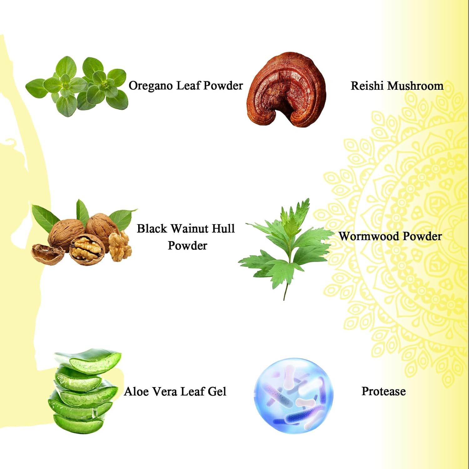 Candida Cleanse Capsules - Herbal Intestinal Detox with Probiotics, Oregano, Caprylic Acid, Black Walnut & Reishi - Gut & Colon Support