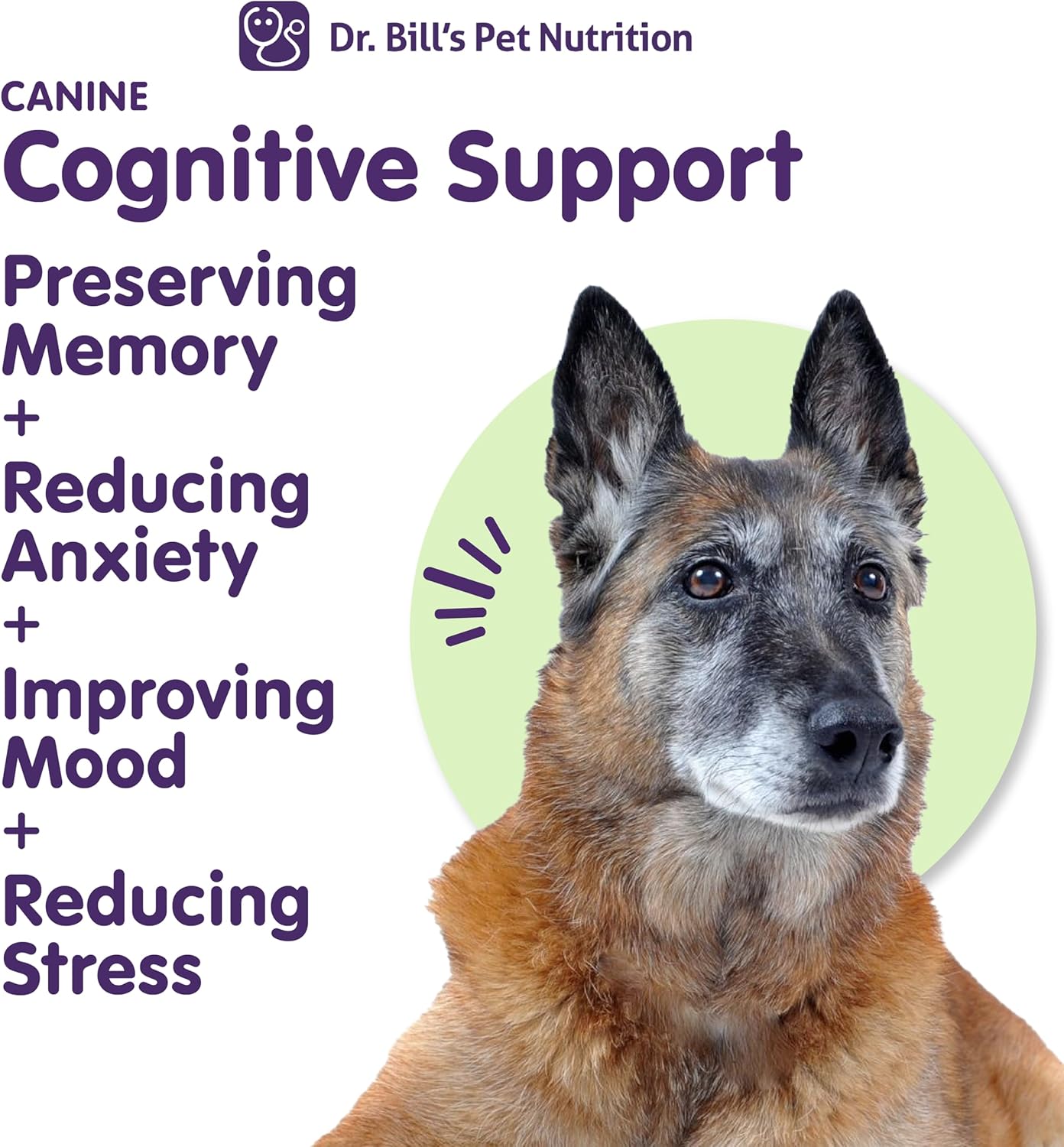 Canine Cognitive Support Supplement with Gingko Biloba, L-Carnosine, Vitamin B-12, L-Glutamine, L-Tyrosine, and DHA for Adult and Senior Dogs