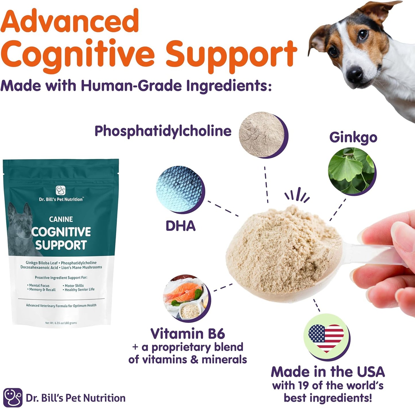 Canine Cognitive Support Supplement with Gingko Biloba, L-Carnosine, Vitamin B-12, L-Glutamine, L-Tyrosine, and DHA for Adult and Senior Dogs