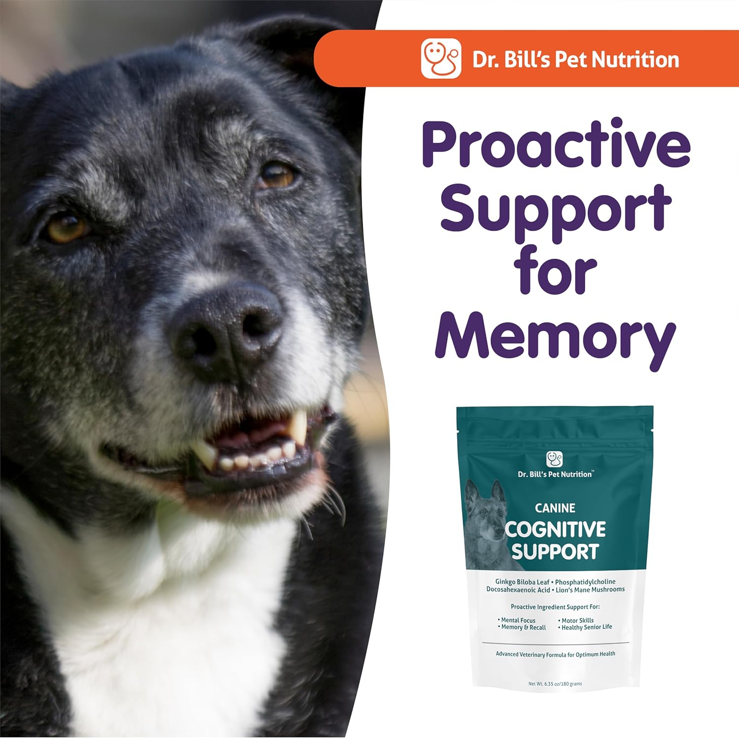 Canine Cognitive Support Supplement with Gingko Biloba, L-Carnosine, Vitamin B-12, L-Glutamine, L-Tyrosine, and DHA for Adult and Senior Dogs