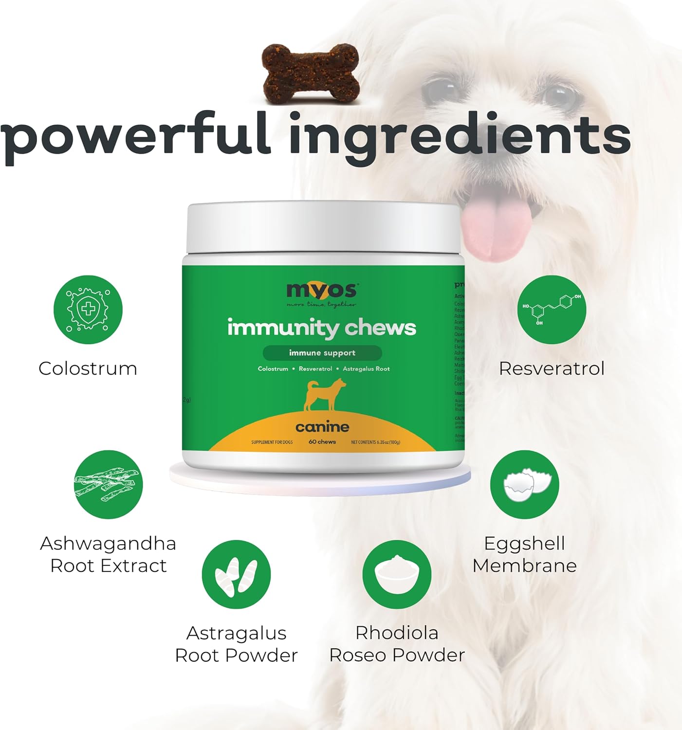 Canine Immune Support Chew - Boosts Immunity & Vitality with Colostrum, Resveratrol, Astragalus, & Medicinal Mushrooms - Daily Supplement for Dogs