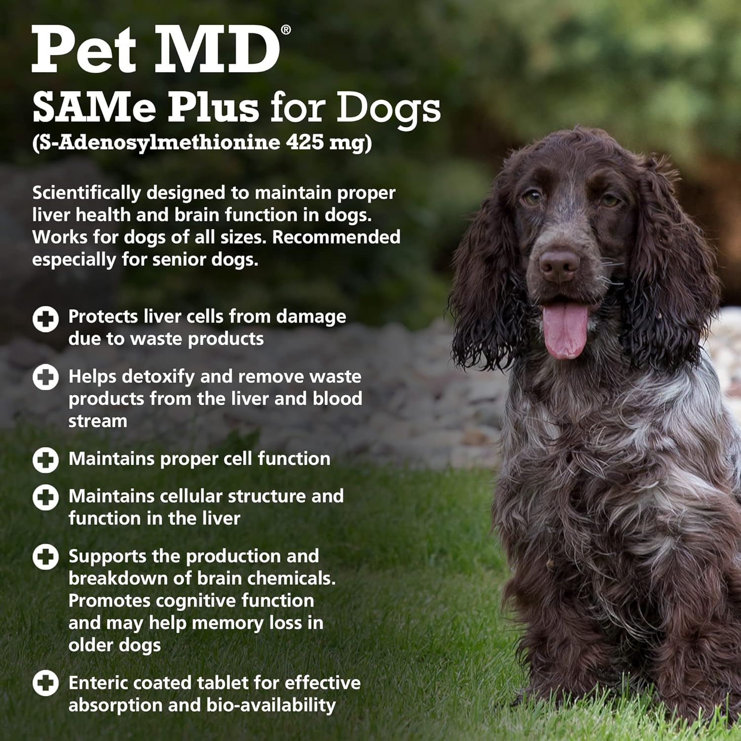 Canine Liver & Brain Health Support Supplement with B Vitamins - Pet MD Same Plus for Dogs - 30 Enteric Coated Tablets