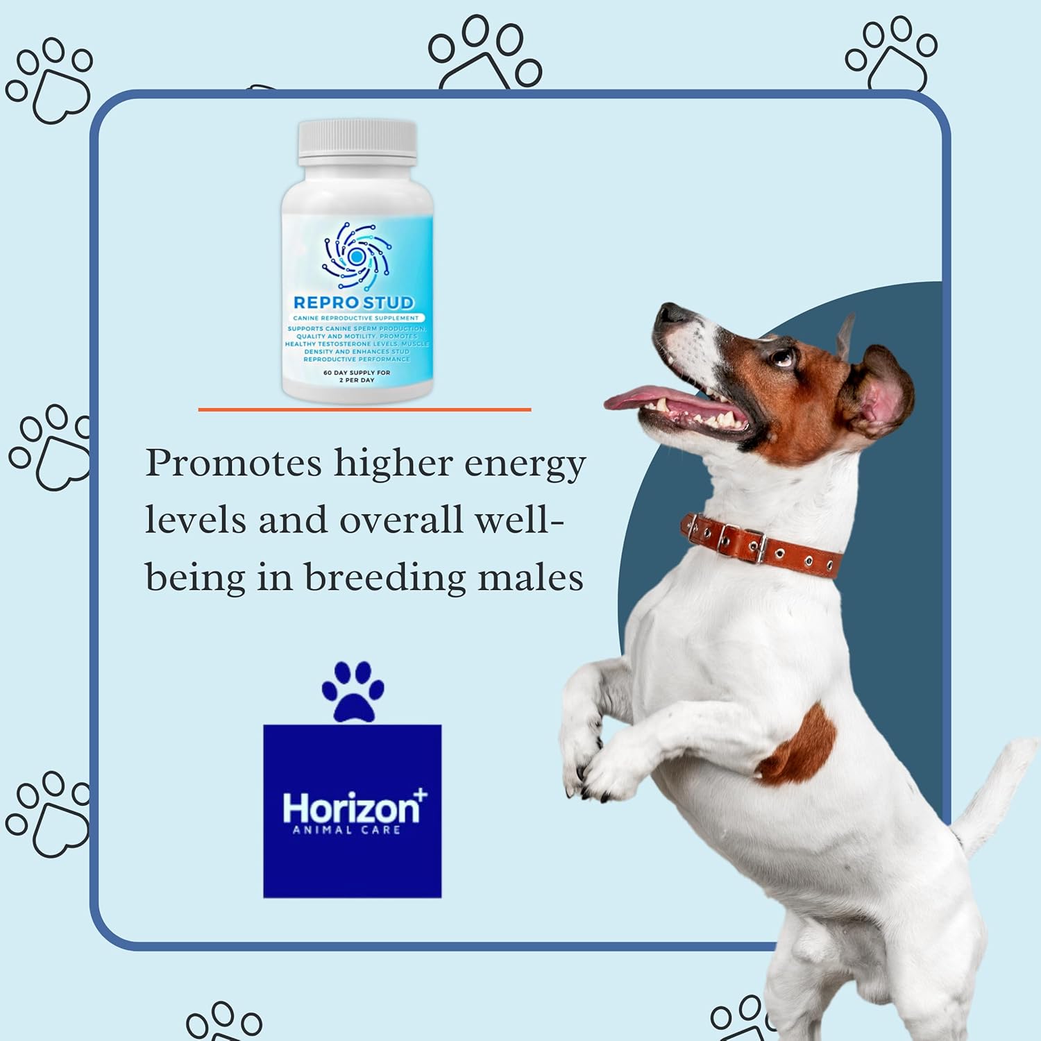 Canine Reproductive Health Supplement for Stud Dogs - Boosts Breeding Performance, Energy & Testosterone - 60-Day Supply by Breeder’s Pride