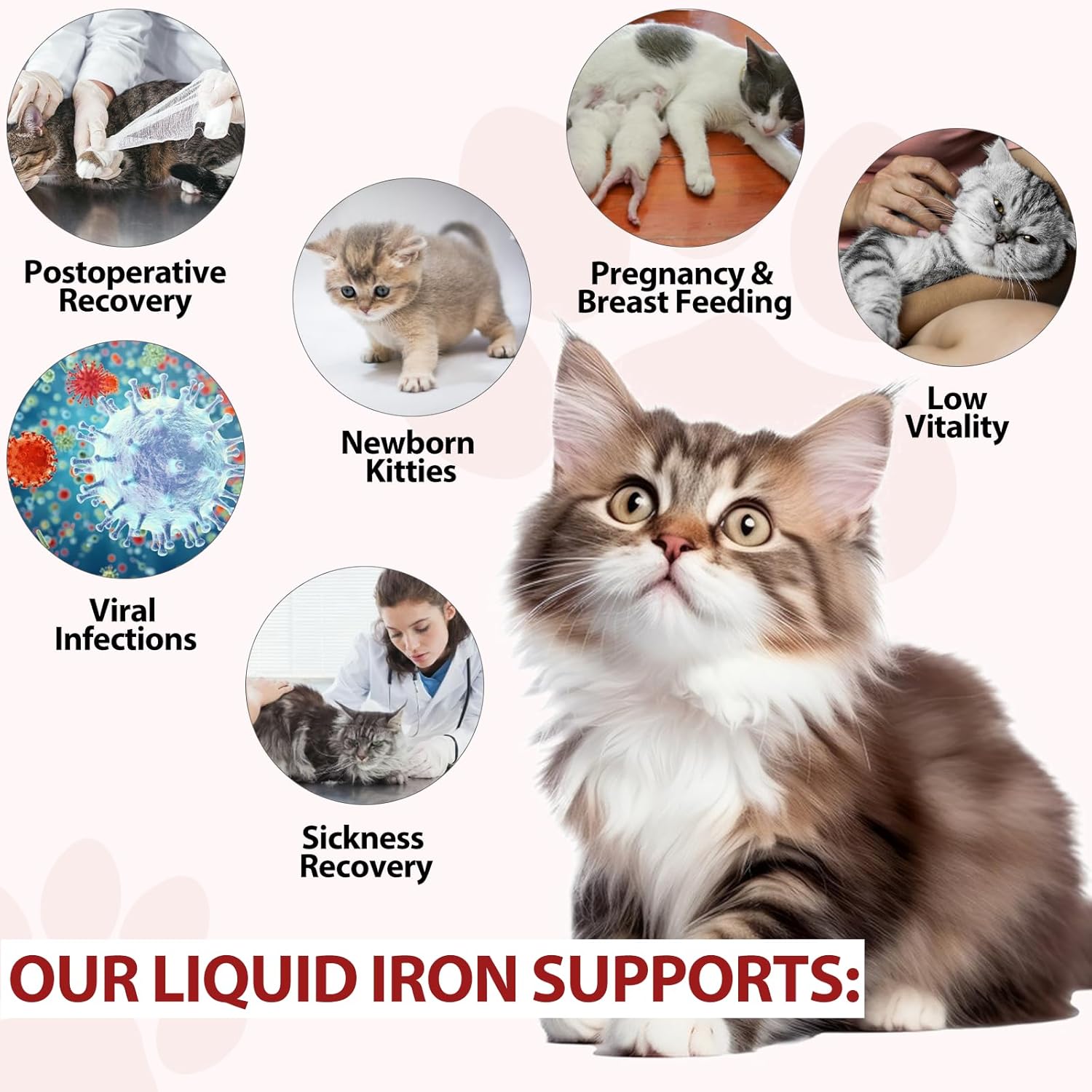Caramel Flavored Liquid Iron Drops for Cats - Supports Anemia & Lethargy, Boost Energy Levels & Vitality - Cat Vitamin Supplement - 2 fl. oz.