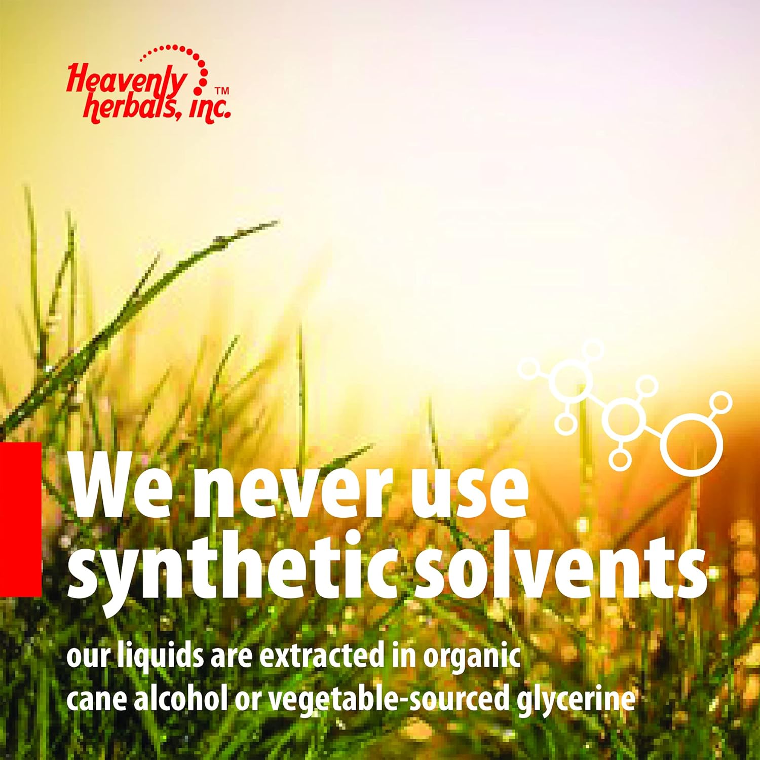 Carduus Marianus Compositum Homeopathic Drops for Liver, Gallbladder, and Pancreatic Support - 2.0 fl oz