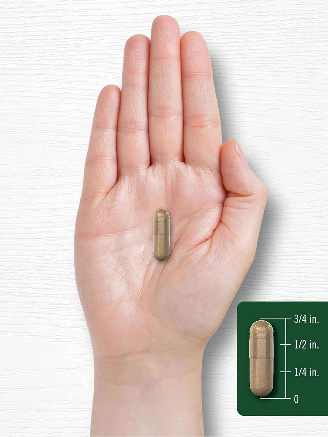 Carlyle 1000mg Milk Thistle Extract Capsules - 300 Count, Non-GMO & Gluten Free