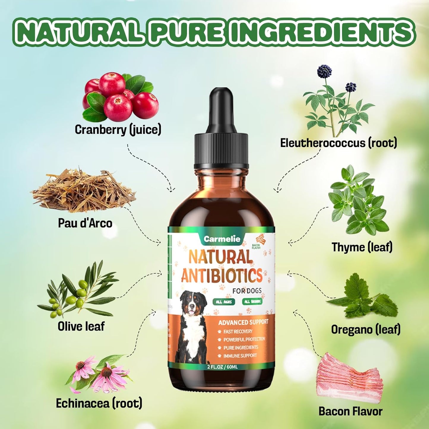 Carmelie Natural Antibiotics for Dogs - Infection, Allergy, Itch Relief - Dog and Cat Multivitamin - Supports Immune System - 60ml