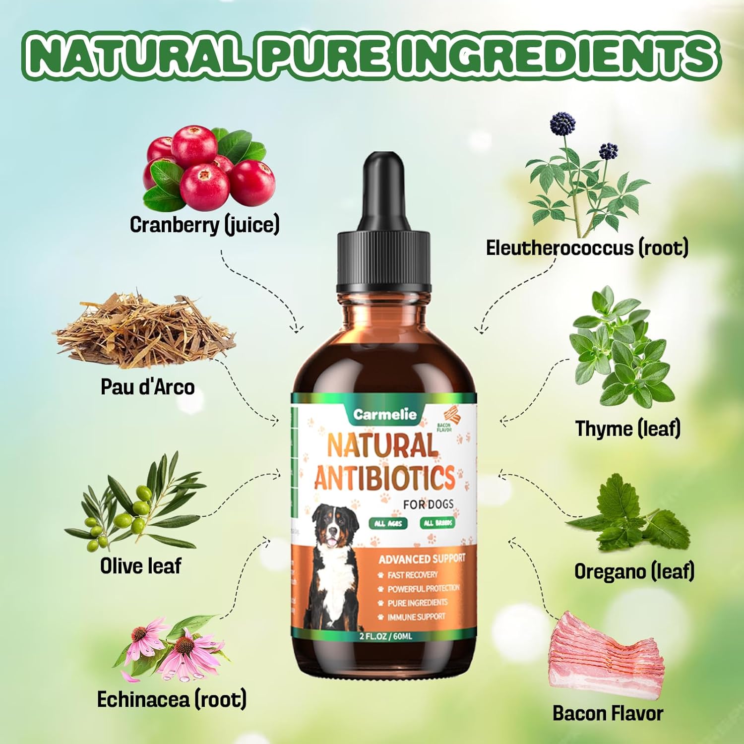 Carmelie Natural Antibiotics for Dogs - Infection, Allergy, Itch Relief - Dog and Cat Multivitamin - Supports Immune System - 60ml