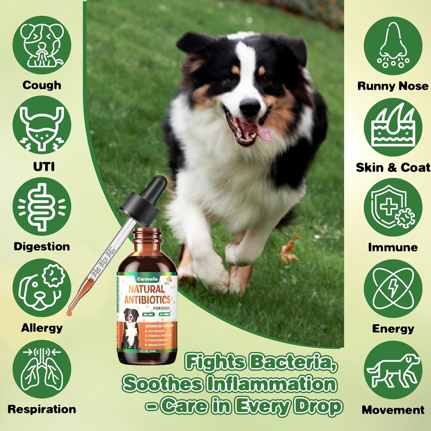 Carmelie Natural Antibiotics for Dogs - Infection, Allergy, Itch Relief - Dog and Cat Multivitamin - Supports Immune System - 60ml