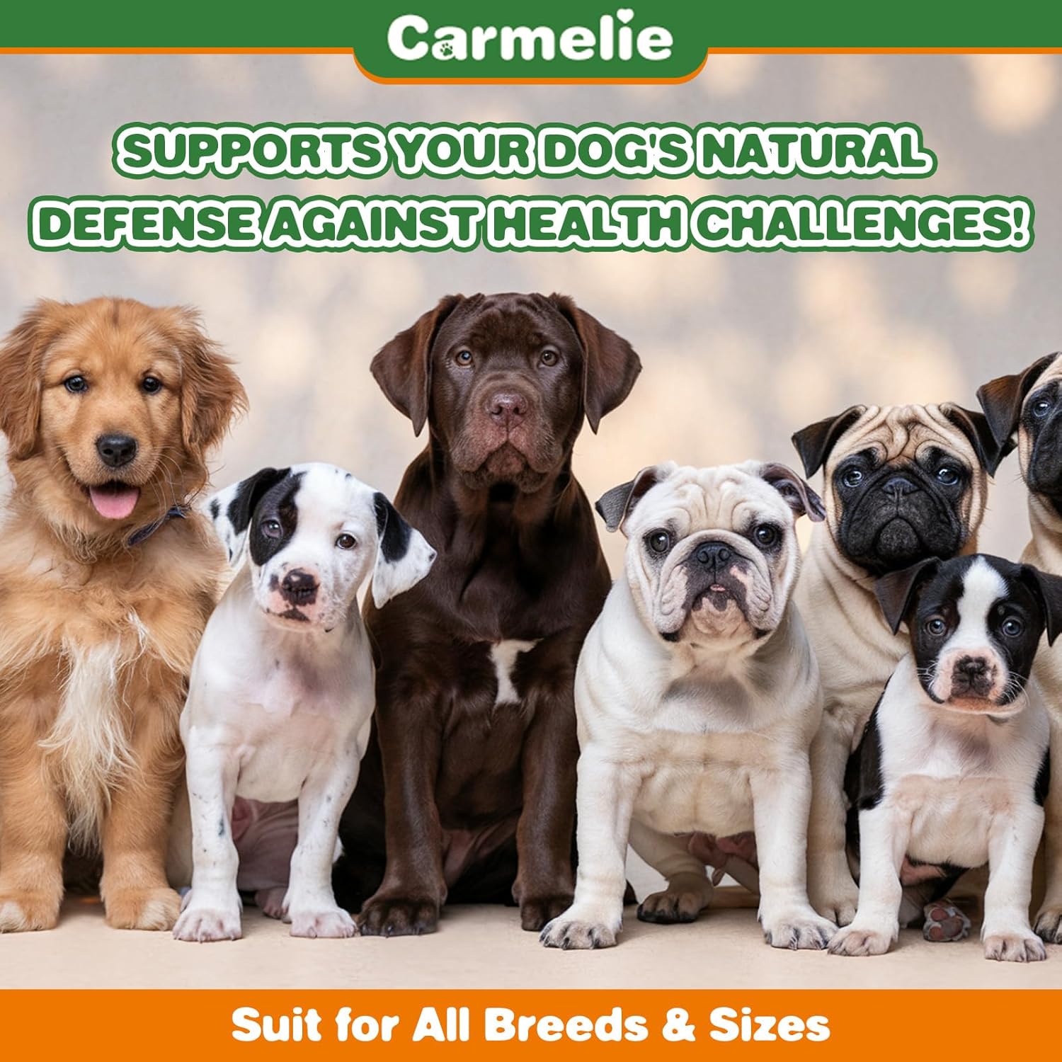 Carmelie Natural Antibiotics for Dogs - Infection, Allergy, Itch Relief - Dog and Cat Multivitamin - Supports Immune System - 60ml