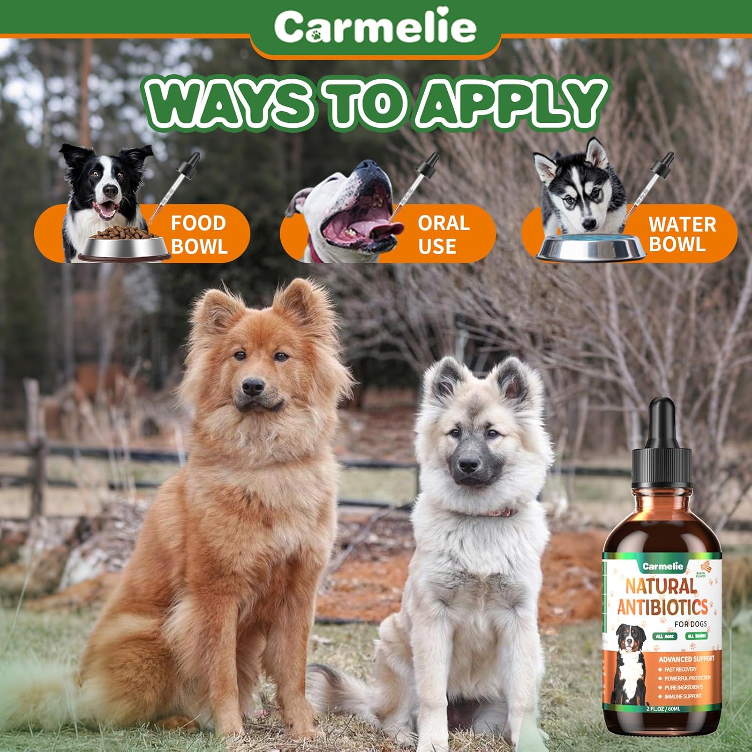 Carmelie Natural Antibiotics for Dogs - Infection, Allergy, Itch Relief - Dog and Cat Multivitamin - Supports Immune System - 60ml