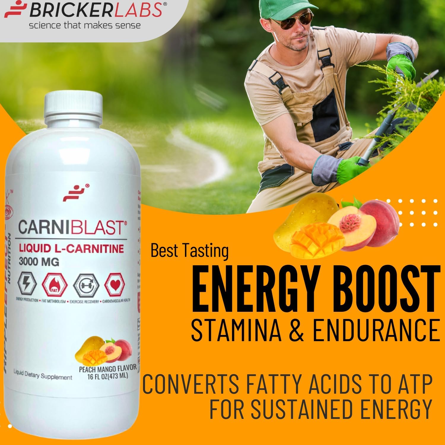 Carniblast Liquid L-Carnitine 3000 mg and Optiflow Blood Flow Supplement Combo, 60 Capsules - Boost Power and Performance