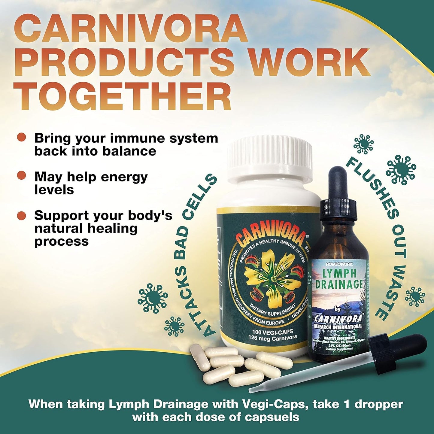 Carnivora Triple Bundle - Immune System, Lymph Flush, Joint & Digestion Support (Includes Vegi-Caps, Lymph Drainage, Turmeric)